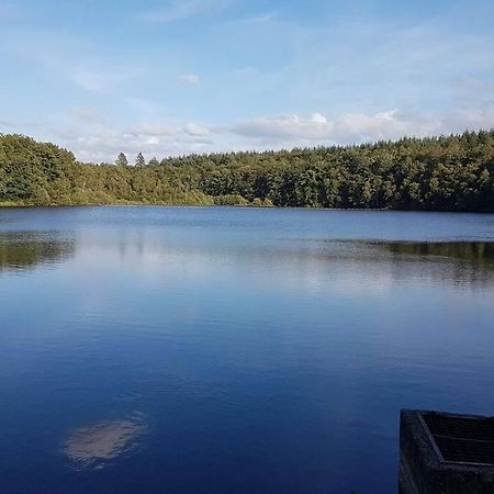 Gite N°4, En Pleine Nature, Frontalier Signy-le-Petit Buitenkant foto