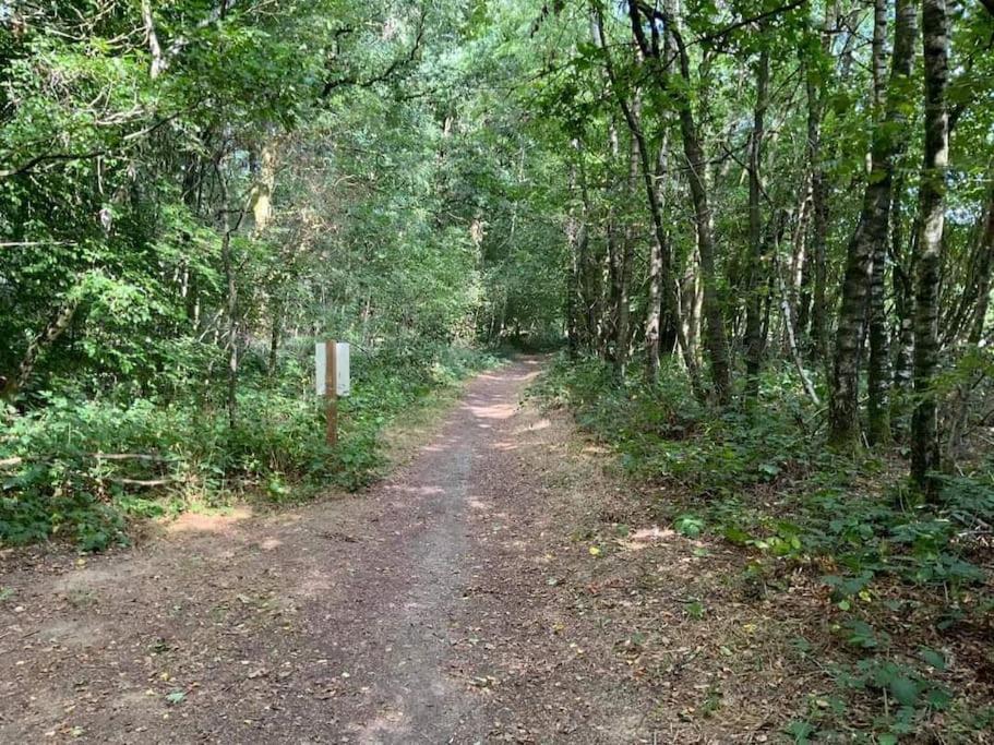 Gite N°4, En Pleine Nature, Frontalier Signy-le-Petit Buitenkant foto