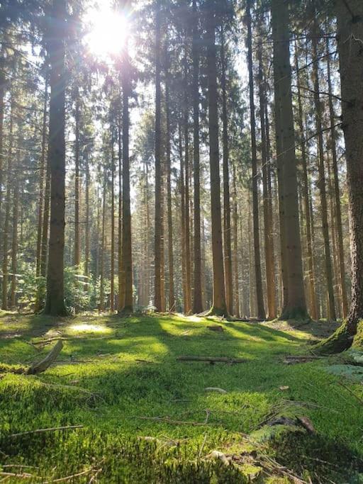 Gite N°4, En Pleine Nature, Frontalier Signy-le-Petit Buitenkant foto